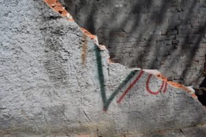 8,600 Acres of North Idaho Land Removed from Public Access After Vandalism, Rule Violations