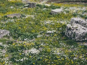 Westside Fire District Places $67 Per $100,000 Levy Override on May Ballot to Double Daily Firefighter Staffing